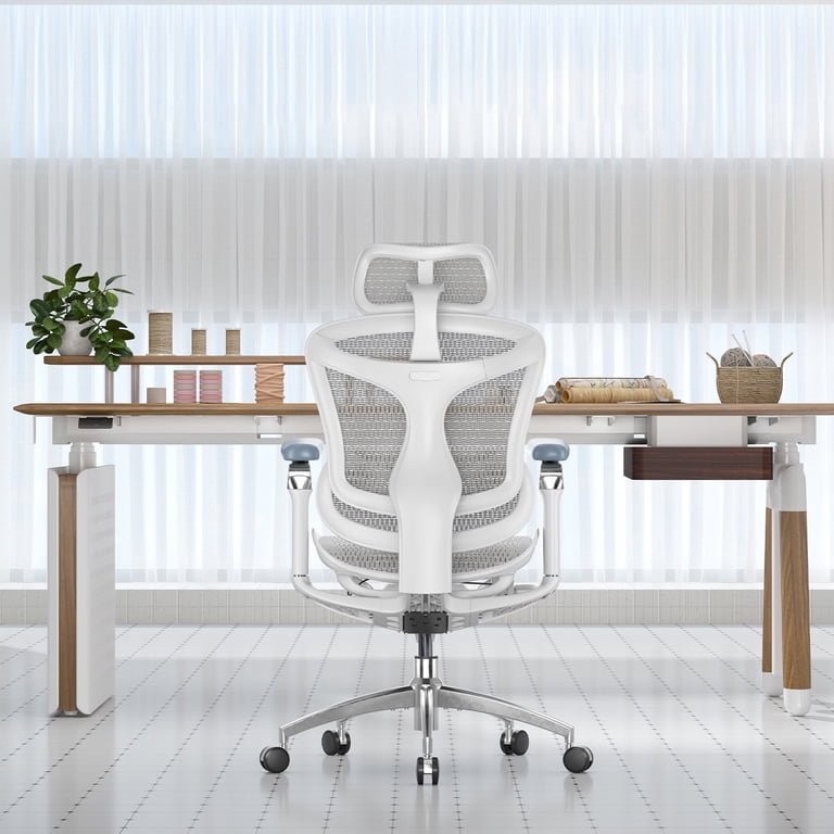 Sihoo Doro C300 Pro Ergonomic Chair, Dynamic Lumbar Support, 6D