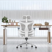 SIHOO Doro C300 PRO Ergonomic Chair Dual Seat Back Support Home Office Chair Computer Chair with 6D Armrests & Dynamic Lumbar Support-Seat Depth Adjustable Desk Chair for Big and Tall-White