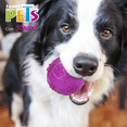thumbnail image 1 of Juguete Pelota Prisma Gde C/Sonido Fancy Pets pelota prisma, 1 of 4