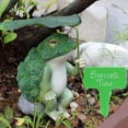 thumbnail image 1 of Estatuilla de resina, estatua de rana para jardín, regalo de cumpleaños, escultura Animal, brócoli, decorativa para césped, oficina, pasillo, sala de Sharpla Estatuas de ranas, 1 of 8