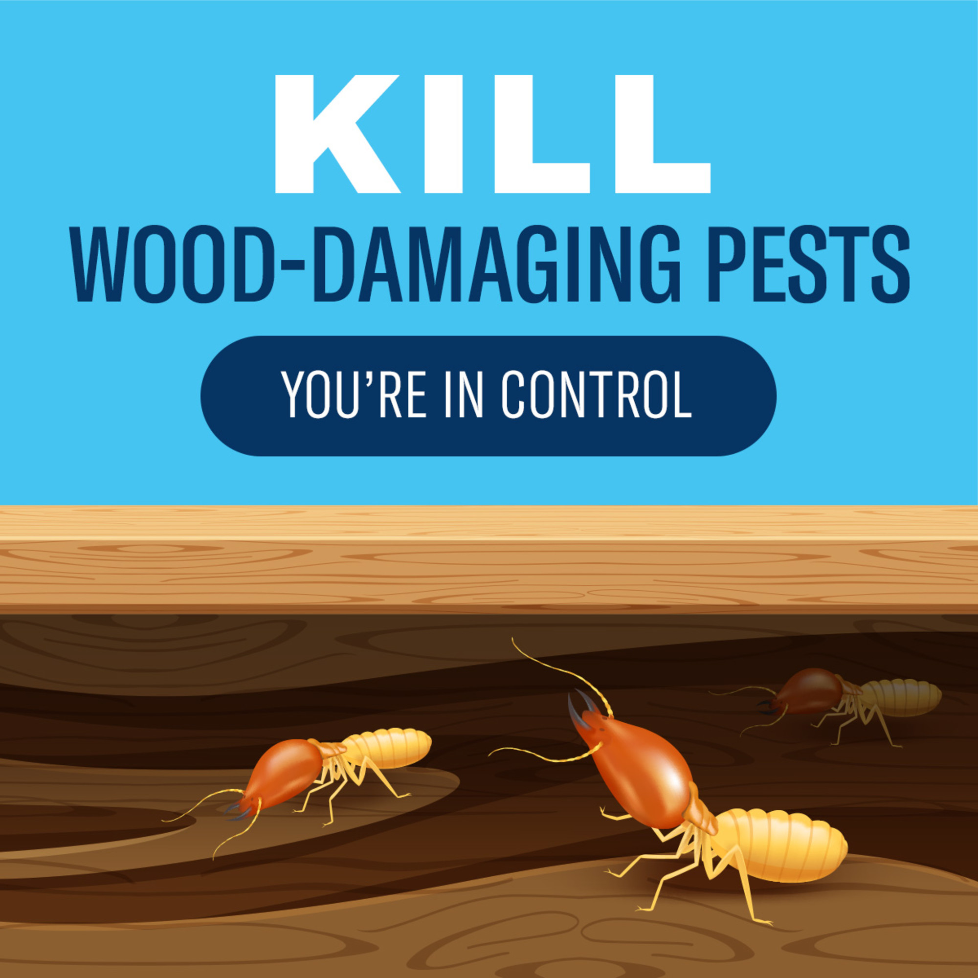 BioAdvanced Carpenter Ant & Termite Killer Plus, 1 gal. photo 8
