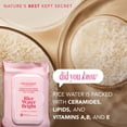 thumbnail image 3 of Toallitas desmaquillantes The Face Shop Rice Water Bright Vegan, 3 of 5