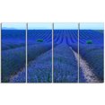 thumbnail image 2 of Lavender Field Sunset Near Valensole - Floral Canvas Art Print, 2 of 3