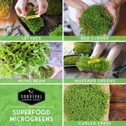 5 Variety Pack Microgreens Sprouting Seeds - Annual Vegetable Indirect Light