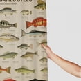 thumbnail image 3 of Orinice  Fish Shower Curtain for Man Rustic Retro Fishing Fisherman Shabby Chic Educational Underwater Farmhouse Men Cabin Lake Country  Waterproof Bathroom Home Decor 36x72, 3 of 7