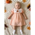 thumbnail image 6 of BemeyourBBs Toddler Baby Girls Halloween Dress Outfit Infant Baby Girl Summer Fall Plaid Gingham Dress Pumpkin Ghost Embroidered Crew Neck Puff Short Sleeve Holiday Party Dress, 6 of 9