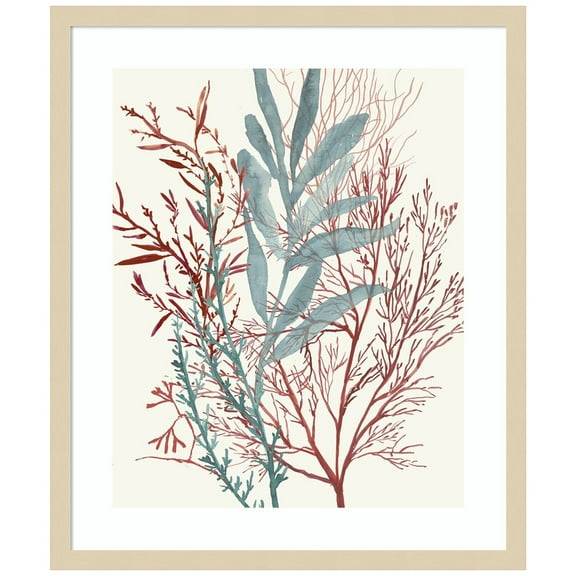 Amanti Art Seaweed Swirls II Wood Framed Wall Art Print