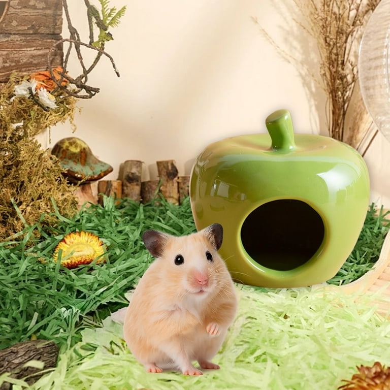 Gumesh -Shaped Ceramic Hamster Hideout, Natural Cooling Shelter