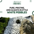 thumbnail image 4 of White Pebbles - 3 to 5 inches - 1000-LBS, 4 of 6