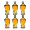 thumbnail image 1 of Pack de 6 Mezcal Delirio de Oaxaca Joven 750 ml Delirio de Oaxaca Joven, 1 of 4