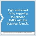 thumbnail image 3 of Life Extension AMPK Metabolic Activator, hesperidin, G. pentaphyllum, fight unwanted belly fat, target overall fat, gluten-free, vegetarian, 1-daily, non-GMO, 30 tablets, 3 of 10