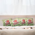 thumbnail image 3 of Ambesonne Antique Throw Pillow Cover 4 Pack, Vintage Tomato Poster, 16", Green Red, 3 of 6