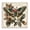 Vintage French Country Moth Botanical_v1, variant on Stupell Industries Enchanting Moth & Plant Animals Painting Black Floater Framed Canvas Art Print Wall Art, 18 x 18