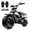 Black, variant on FRP Basic Package GMB100 Gas Powered Mini Dirt Bike 99CC for Teens and Adults, 28MPH Off Road Motorcycle with SunF Street Tires, Up to 220 LBS - Red