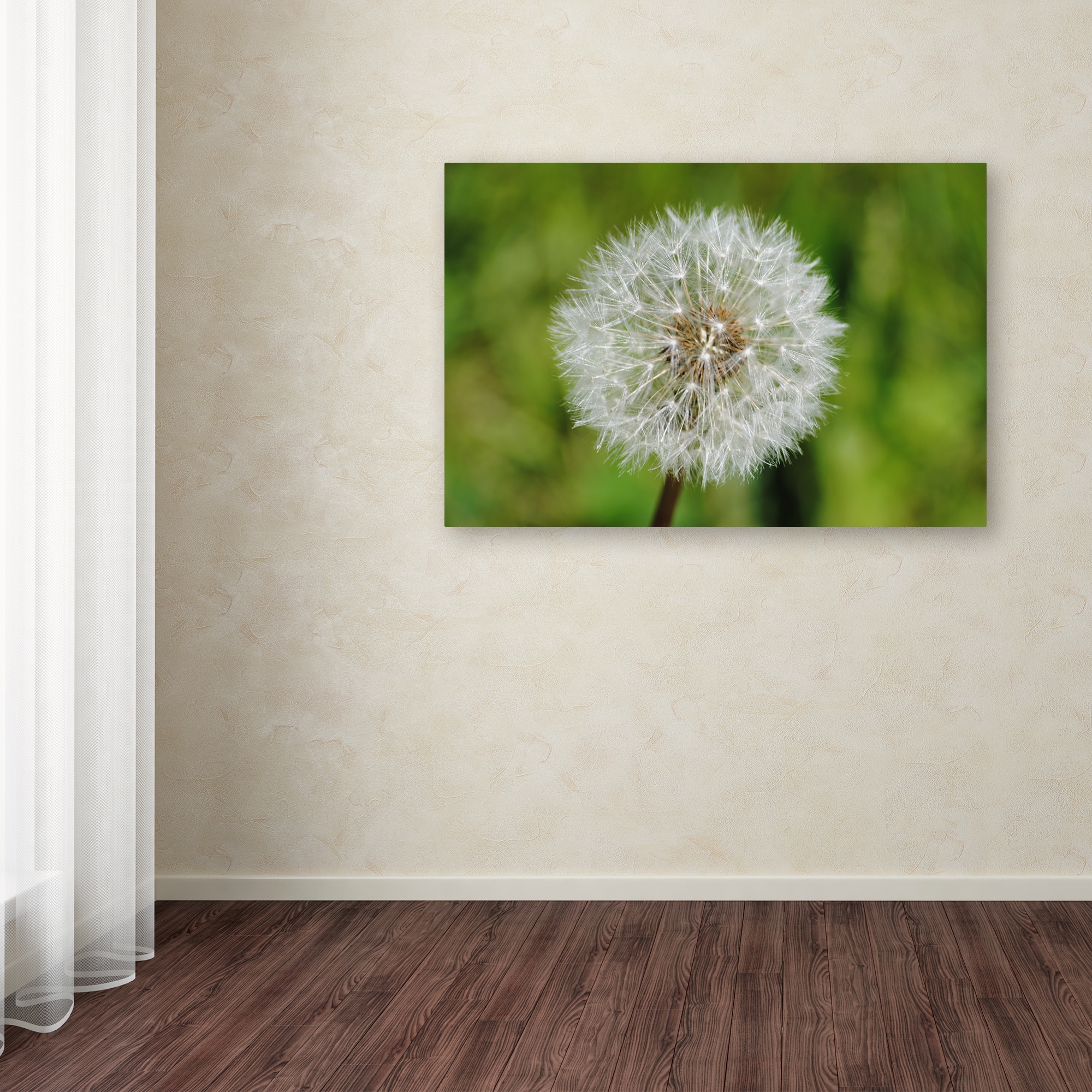 Trademark Fine Art "Make a Wish" Canvas Art by Monica Mize