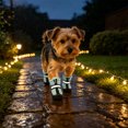thumbnail image 6 of 4 Pcs Waterproof Dog Shoes with Reflective Straps, Breathable Non-Slip Boots for Large Dogs, Paw Protection for Daily Walking, 6 of 6