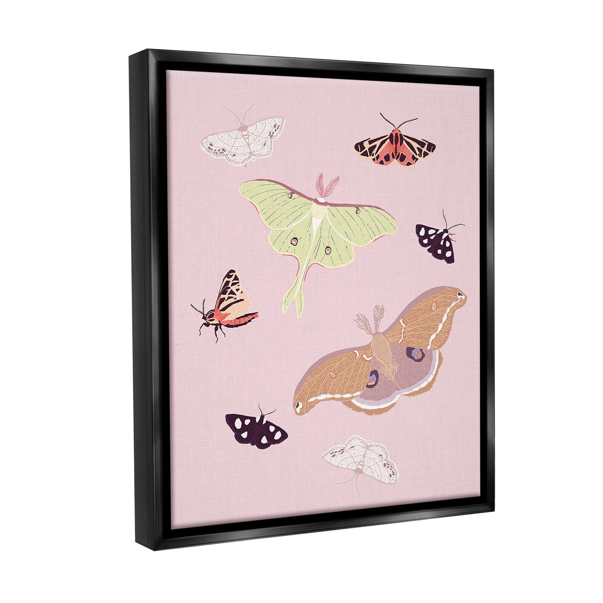 Stupell Industries Varied Moth Pattern Animals & Insects Painting Black Floater Framed Canvas Art Print Wall Art, 25 x 31