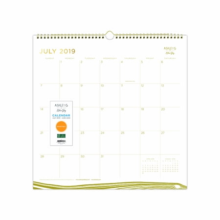 Blue Sky 12" x 12" Wall Calendar, July 2019-June 2020