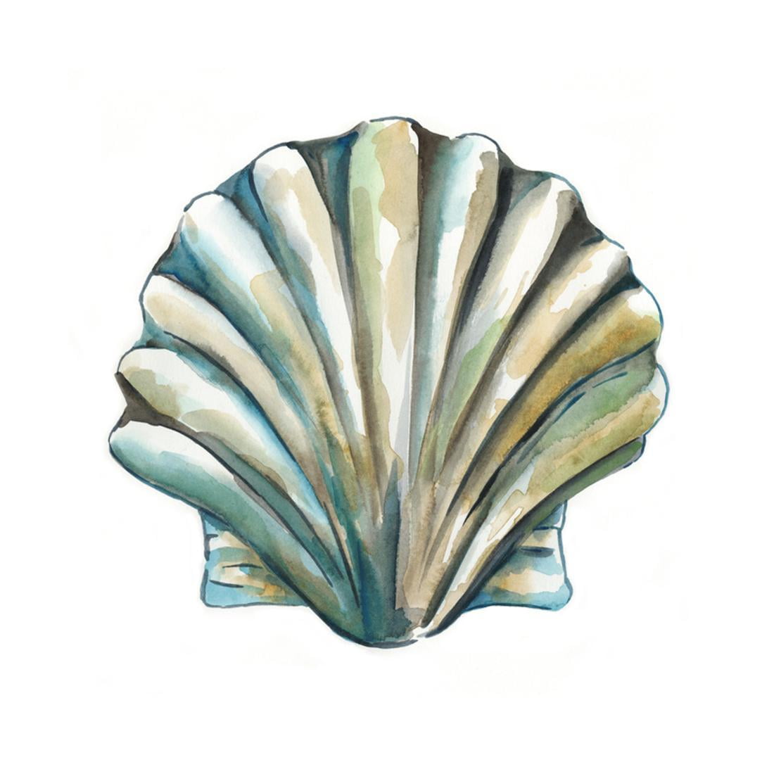 Aquarelle Shells VI Watercolor Seashell Coastal Artwork Print Wall Art