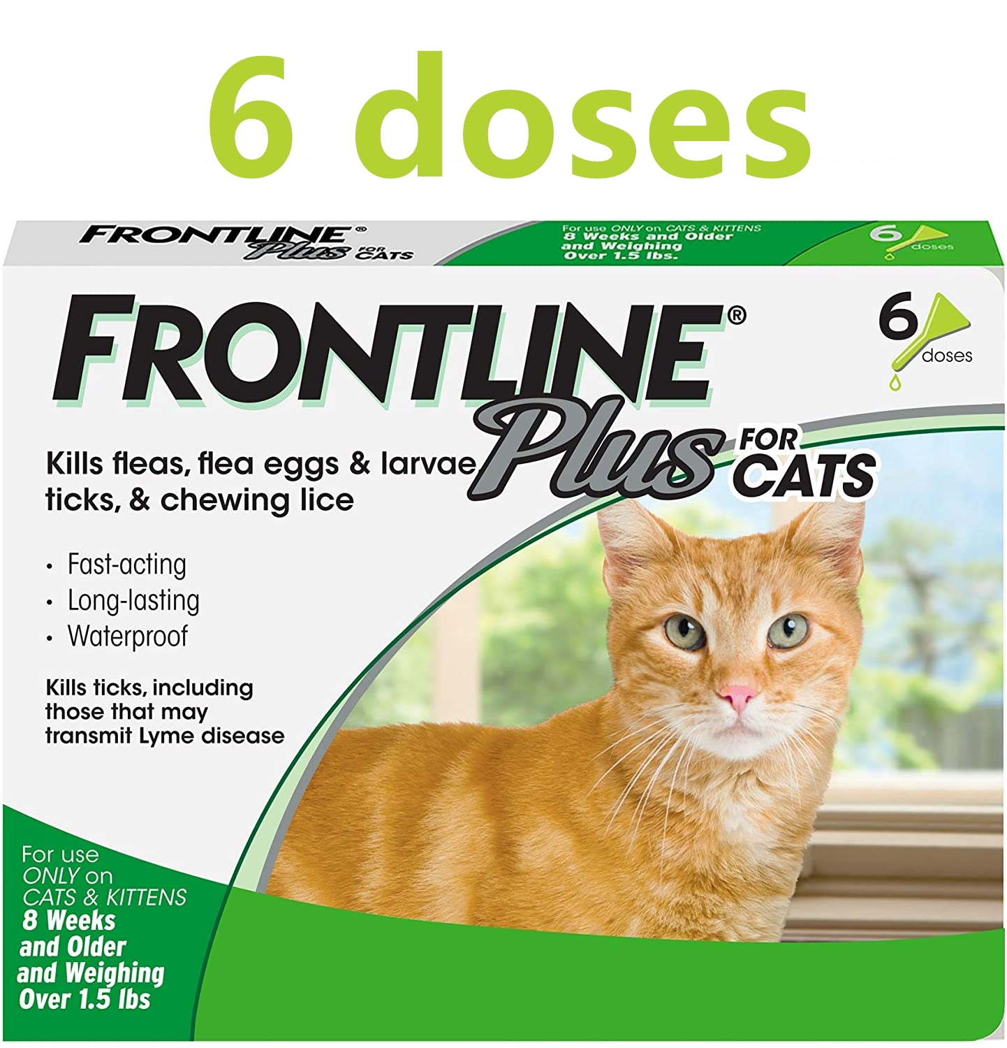 frontline plus cats walmart