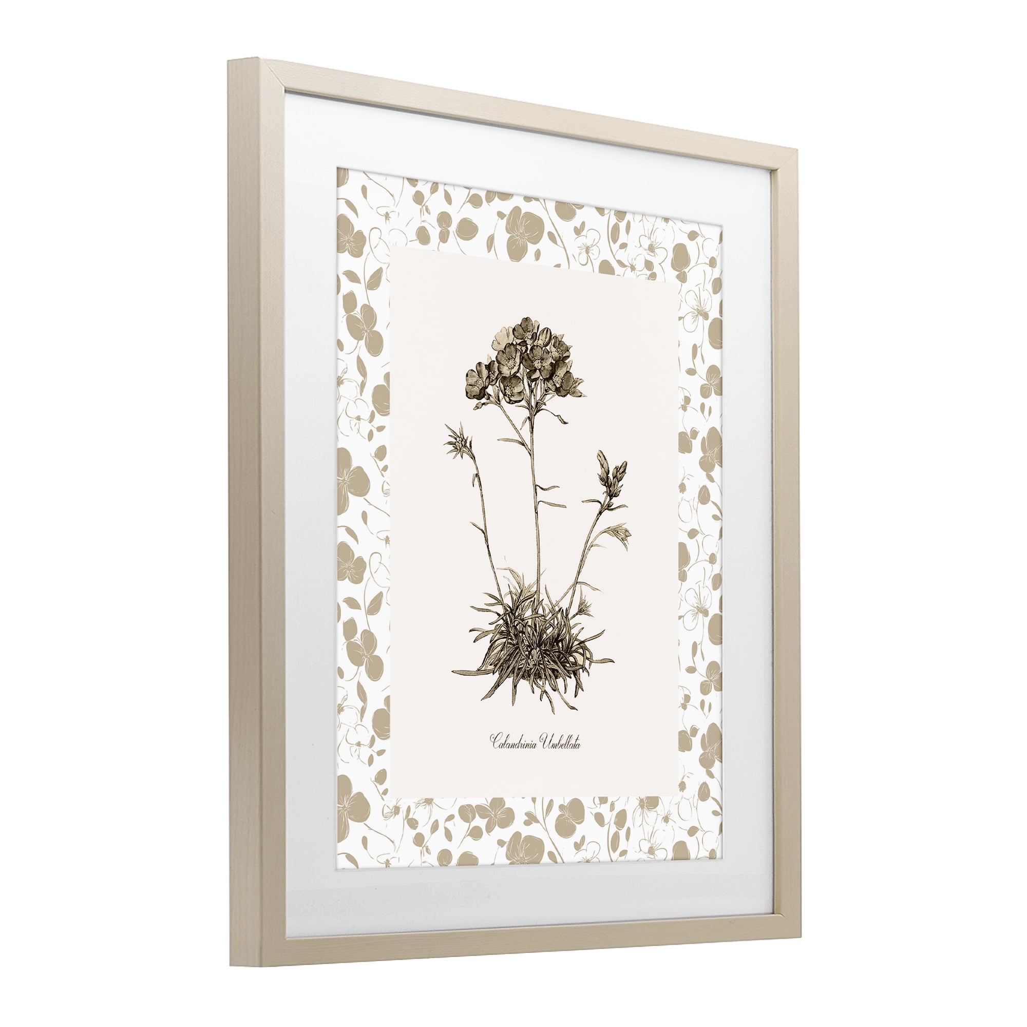 Stupell Industries Neutral Imperial Flower & Herb Birch Framed Print Under Glass, design by Kelly Donovan