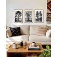 thumbnail image 4 of SHENIFY Vintage Tree Wall Art 16x24in3pcs Natural Framed Black and White Retro Antique Forest Drawings Nature Wilderness Sketch Wall Painting Modern Bedroom Decor, 4 of 7
