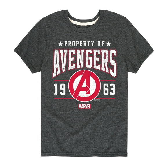 Marvel The Avengers - Property Of - Toddler And Youth Short Sleeve Graphic T-Shirt