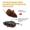 thumbnail image 4 of Electronic Funny Cat Toy Automatic Robotic Mice Toy with Real Mouse Electronic Sound Cat Toys for Cat Exercise, 4 of 5