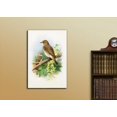 thumbnail image 2 of wall26 - Illustration of 2 Birds Perched onto a Tree Branch - Canvas Art Home Art - 16x24 inches, 2 of 4