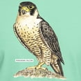 thumbnail image 3 of CafePress - Peregrine Falcon Bird Dark T Shirt - Men's Classic Graphic Cotton T-Shirt, 3 of 4