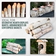 thumbnail image 4 of 17 Inch Natural Birch Logs - Decorative Dried Birch Wood Logs for Fireplace, Wedding Centerpieces - Unfinished Wood DIY Crafts, & Home Décor - Birch Log Bundle for Indoor Display (6 PCS) (2.5"-4", 4 of 7