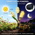 thumbnail image 3 of Rirool Solar Hyacinth Flower Lights Outdoor 2 Pack, Color Changing LED Garden Lights Waterproof Auto On/Off for Yard Patio Pathway Yellow, 3 of 8