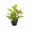 C, variant on Honmine Artificial Leaf Potted Plant, Faux Variegated Green Plant for Home Living Room, Tabletop Decoration for Office, Shelf, Wedding, Landscaping Project