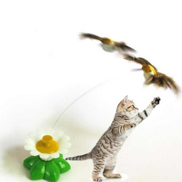 Hummingbird cat toy discount