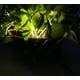 thumbnail image 2 of Luz solar en maceta de planta de jardín TUNC Sencillez LED, 2 of 5
