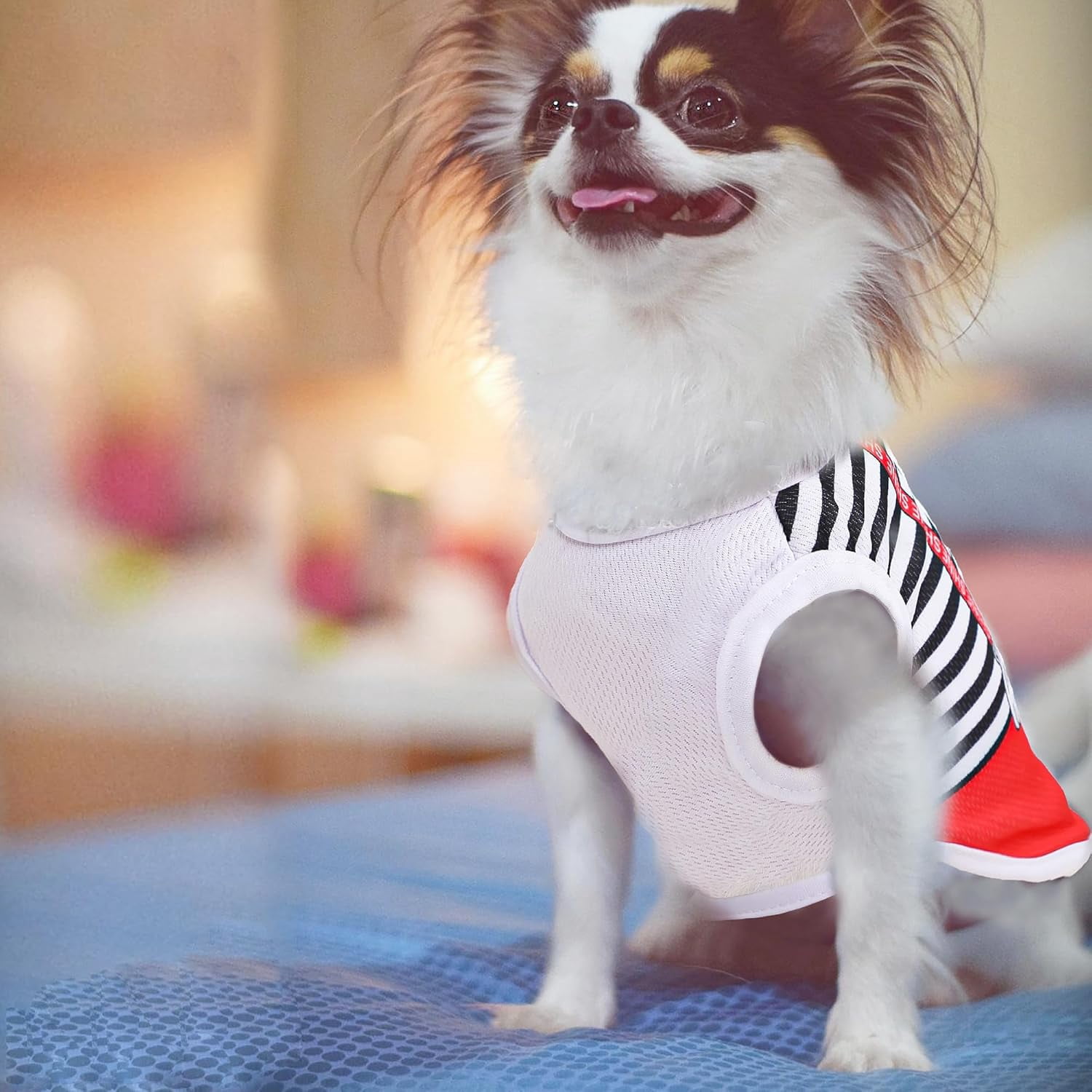 4 Pack Dog Clothes Medium Sized Dogs: Mesh Dog Shirts with Cute Patterns, Size XXS-XL Fit for 2-16lb Dogs Pet T-Shirts, Girl & Boy Puppy Clotheing for Spring Summer XL