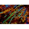thumbnail image 2 of Carter, Jean 32x23 Gold Ornate Wood Framed with Double Matting Museum Art Print Titled - OR, Bandon Abstract of Pacific sea kelp, 2 of 4
