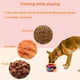 thumbnail image 5 of Snuffle Ball Ablechien para perros pequeños, interactiva, con bolsa de almacenamiento, 5 of 6