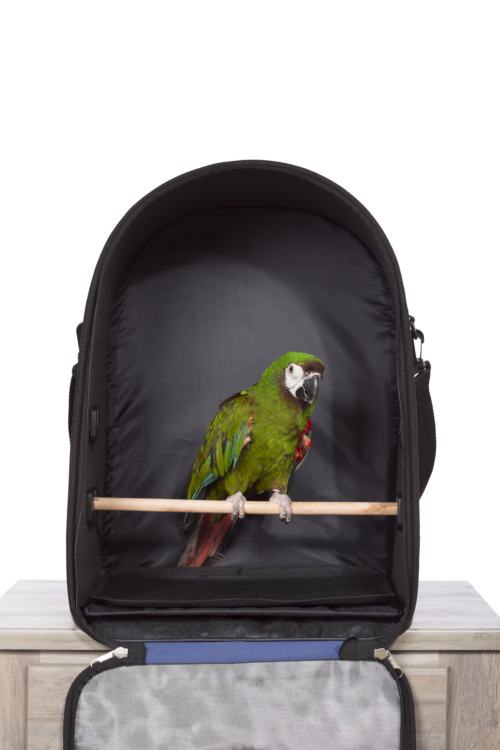 Petsfit best sale bird carrier