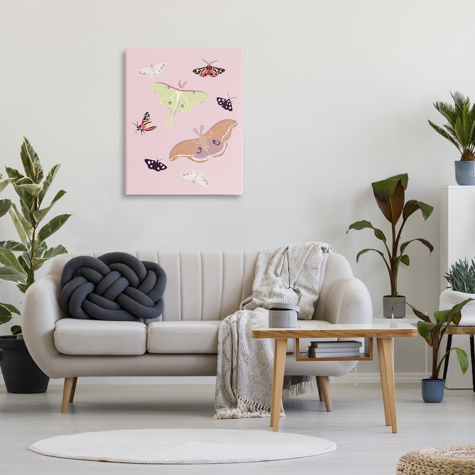 Stupell Industries Varied Moth Pattern Animals & Insects Painting Gallery Wrapped Canvas Art Print Wall Art, 30 x 40