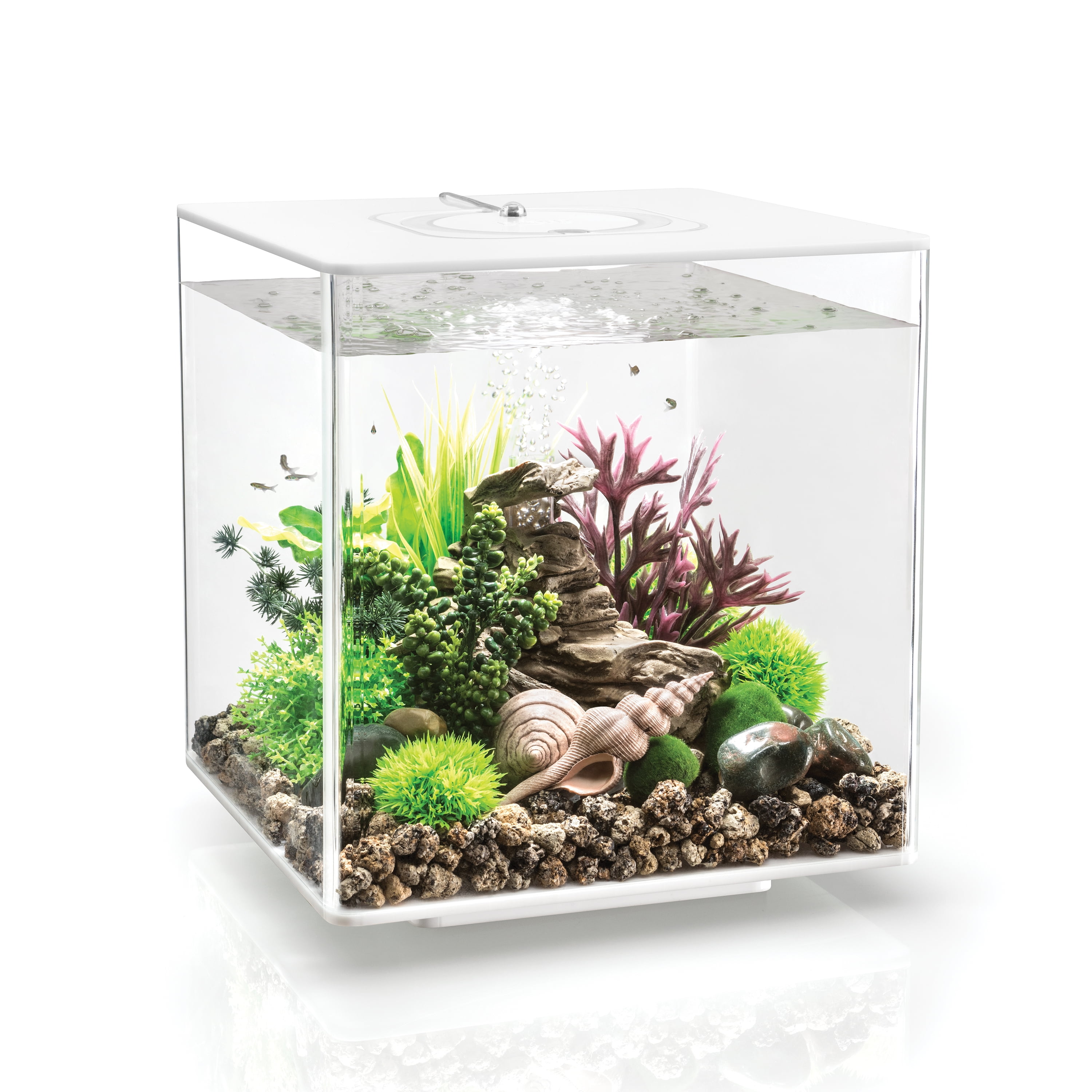 USB Desktop Mini Grass Fish Tank Aquarium Starter Kits with LED Colorful Lighting Lazy Self-Cleaning Goldfish Bowl for Teacher Holiday Birthday