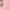 CORAL, variant on BTween Girls' 4-Pack Wardrobe Set with Jacket in Coral - Fashionable Kids' Clothing Bundle - Size 6