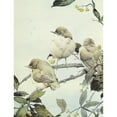 thumbnail image 2 of Edward Julius Detmold 19x24 Gold Ornate Framed and Double Matted Museum Art Print Titled - The Willow Warbler (1912), 2 of 4