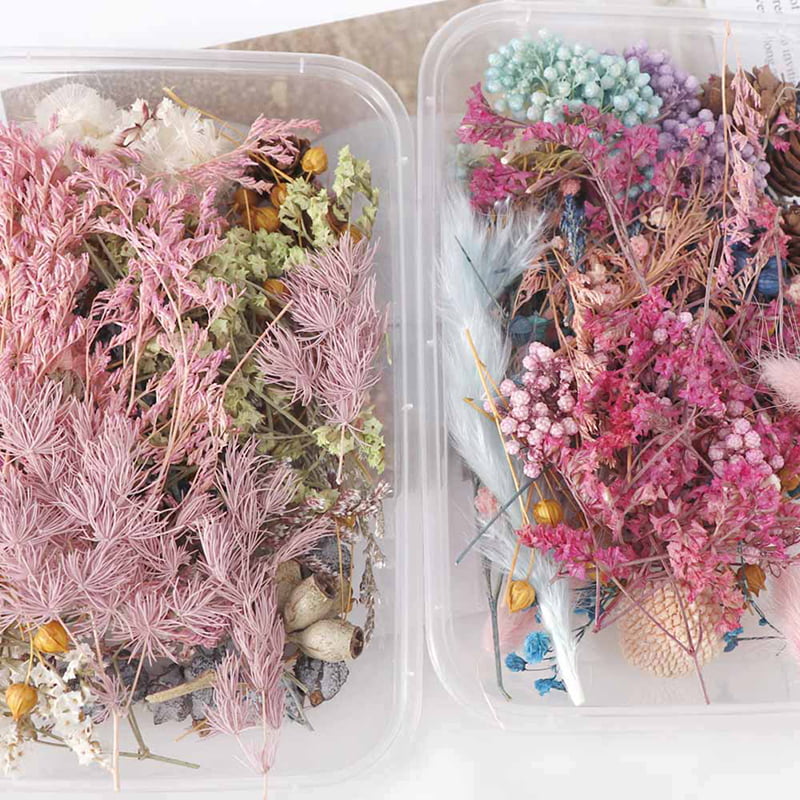 100pcs Natural Pressed Dried Flowers Resin, Dry Flowers for Resin Accessories, Dried Flower for Scrapbooking DIY Art Crafts, Epoxy Resin Jewelry