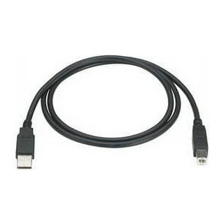 Black Box DisplayPort cable - 15 ft - ENVMDPDP-0015-MM - Audio