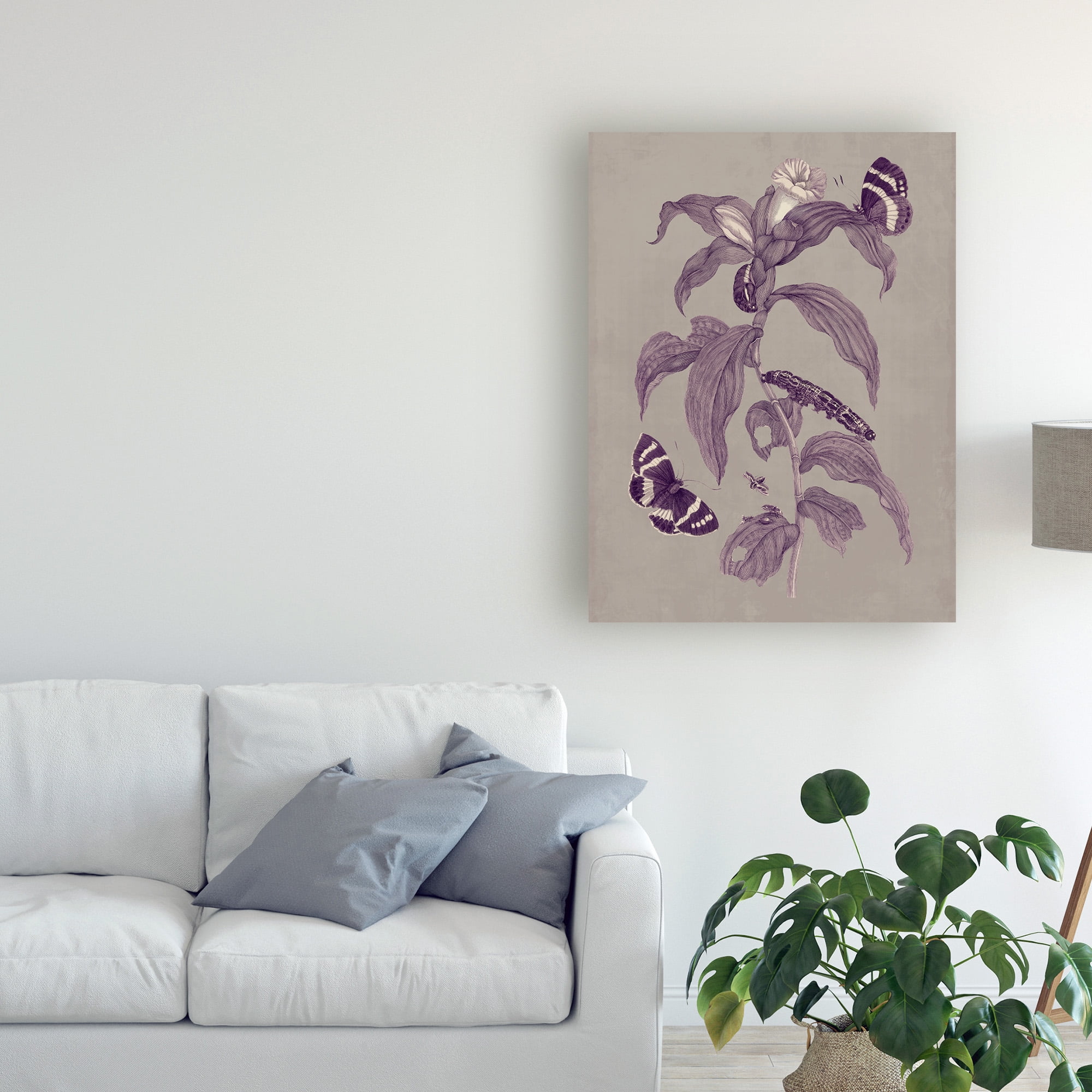 Trademark Fine Art 'Nature Study in Plum & Taupe I' Canvas Art by Maria S. Merian