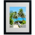 thumbnail image 2 of Trademark Fine Art "Virgin Islands 3" Matted Framed Art by CATeyes, 2 of 2