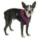 thumbnail image 3 of Puppia arnés suave para perro / gato talla Chico PUPPIA PDCF-AC30, 3 of 4