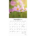 thumbnail image 4 of Simplicity | 2026 7x14" (Hanging) Monthly Mini Wall Calendar | Brush Dance, 4 of 9