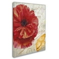 thumbnail image 2 of Trademark Fine Art "Red Poppy" Canvas Art by Color Bakery, 2 of 3